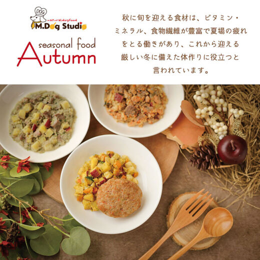 seasonal-food-autumn