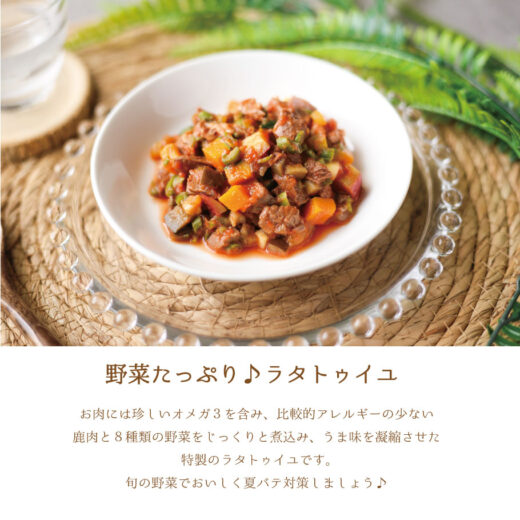 ratatouille