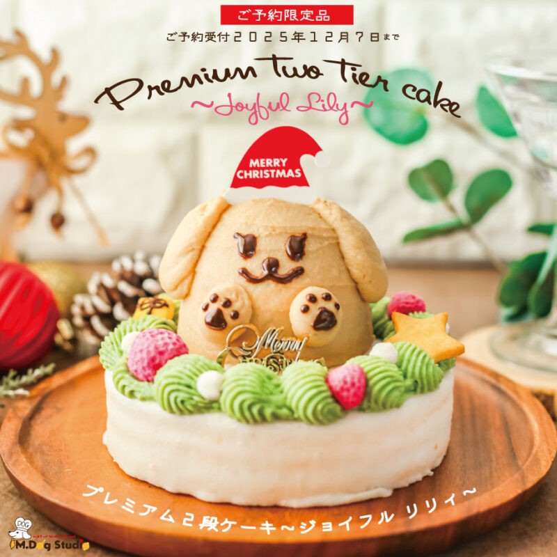 christmas-premiumcake2025