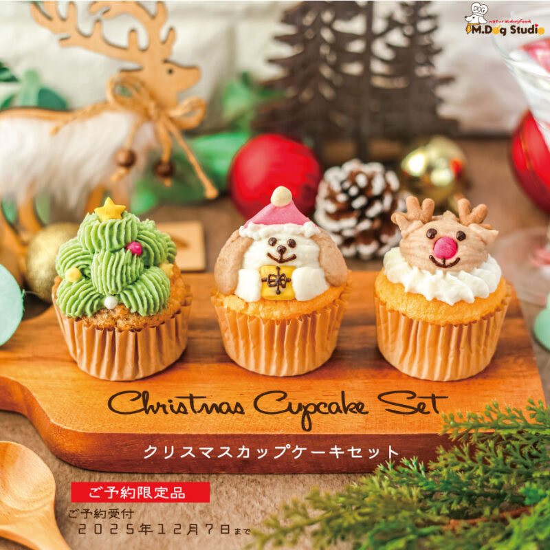 christmas-cupcakeset2025