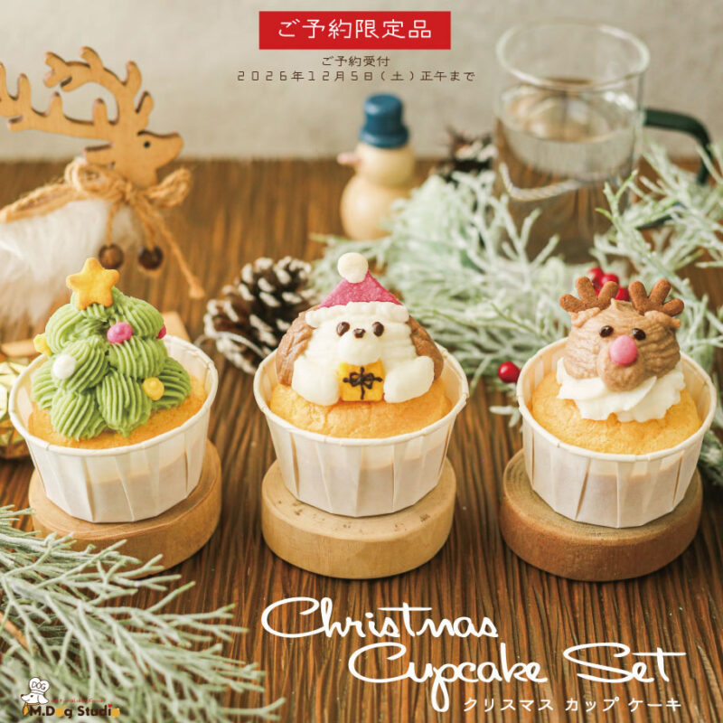 christmas-cupcakeset2026