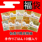 2026新春SALE🌸手作りごはん10個入り福袋