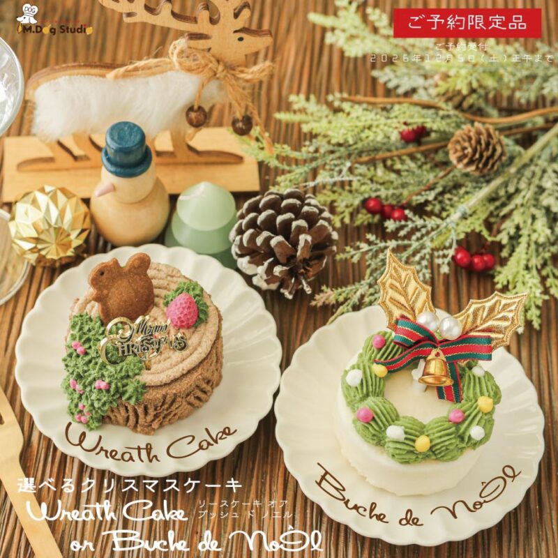 select-christmas-cake