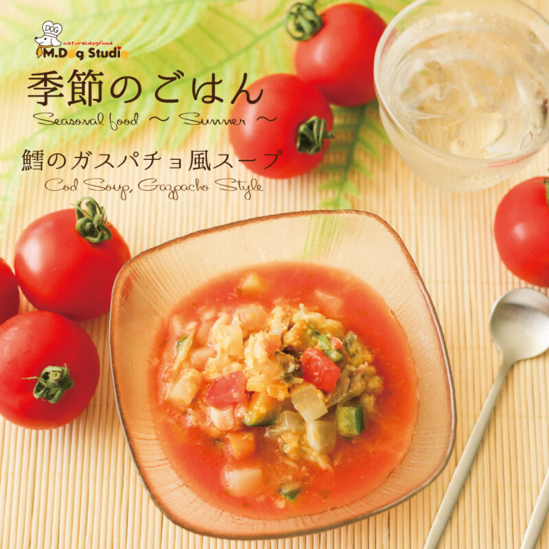 gazpacho-style cold soup