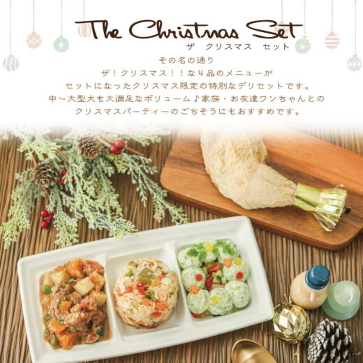 the-christmas-set