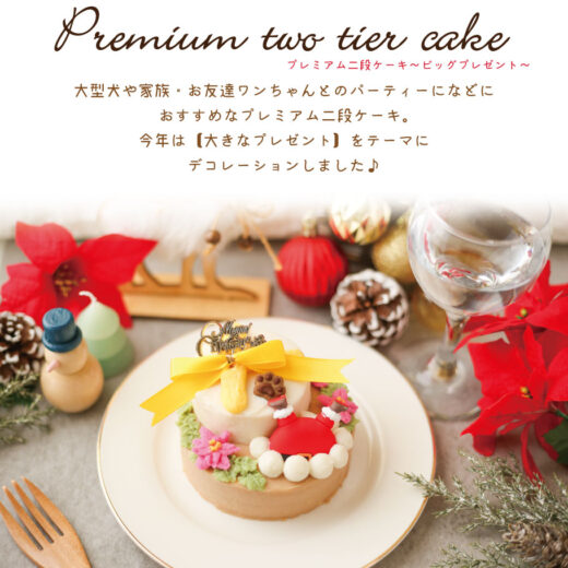 christmas-premiumcake2024