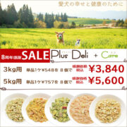 M.dog８周年SALE  プラスデリ・プラスケアおまかせ８個セット