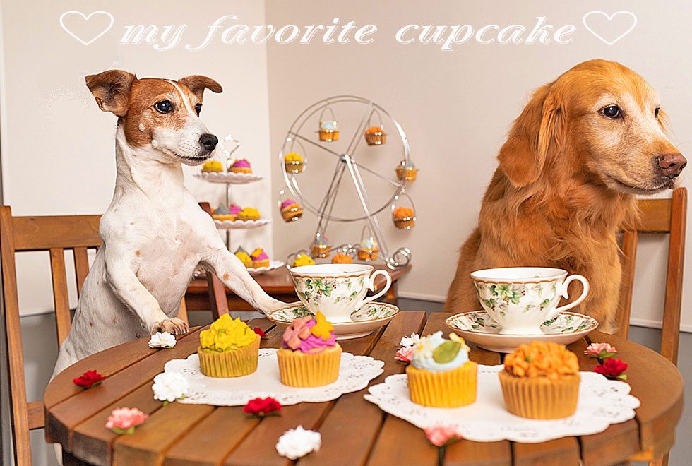 カップケーキ Archives 地元食材と手作り犬ごはん M Dog Studio エムドッグスタジオ