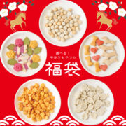 2026新春SALE🌸手作りおやつ選べる5個入り福袋