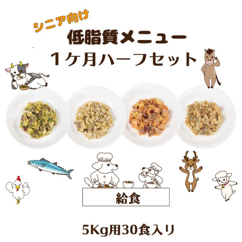 food-service16
