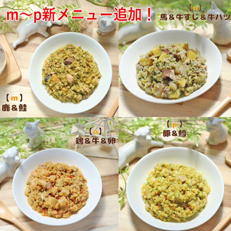 food-service24