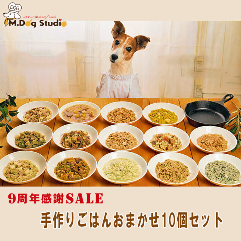 9th-anniversary-sale
