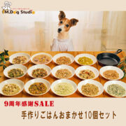 【9周年感謝SALE】 手作りごはんおまかせ10個セット
